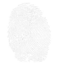 investigations numériques