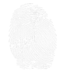 investigations numériques